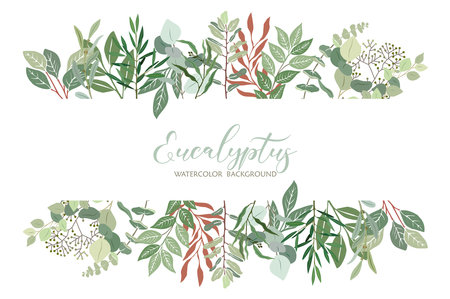 Border frame with green leaves of eucalyptus.のイラスト素材