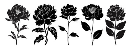 Set of black silhouettes of peony flowersのイラスト素材