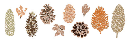 Flat, stylized pine cones in earth tonesのイラスト素材