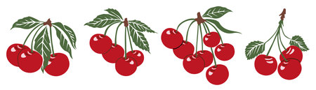 Set of glossy red cherries in natural clusters