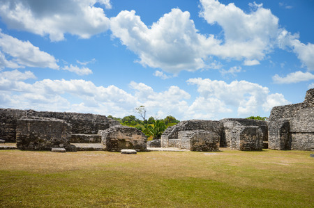 Caracol archaeological site of Mayan civilization in Western Belizeの写真素材