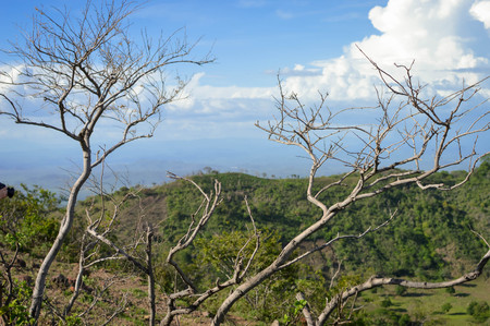 Dry vegetation in the landscapes of San Jacinto near Telica volcano, Leon Department, Nicaraguaの写真素材