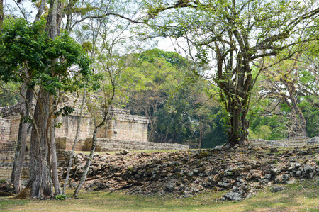 Some of the ancient structures at Copan archaeological site of Maya civilization in Honduras. Central Americaの写真素材