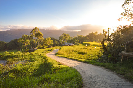 Beautiful panoramic landscape with sunset and rice fields in Tana Toraja highlands. South Sulawesi,...