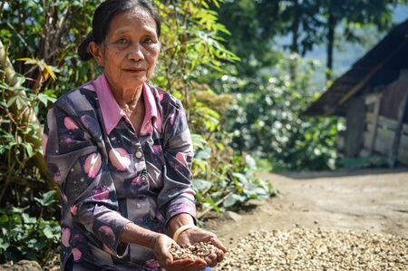 Sulawesi, Indonesia - July 5, 2018: Local coffee farmer harvest and sun dry their coffee beans in...
