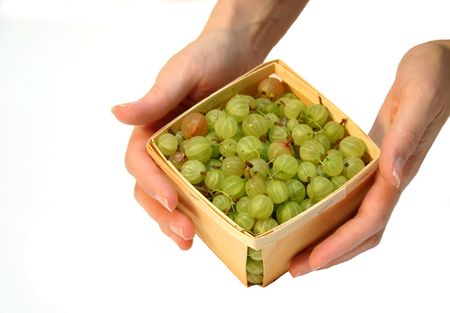 gooseberries basketの写真素材