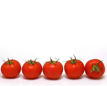 tomatoes rowの写真素材