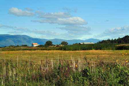 country landscape with blue cloudy skyの写真素材
