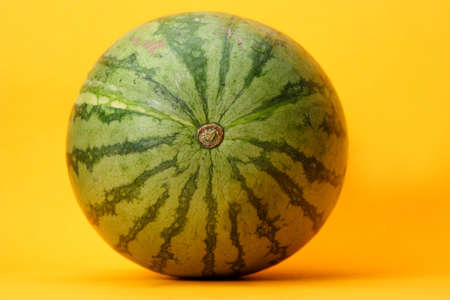 fresh whole water-melon on orange backgroundの写真素材