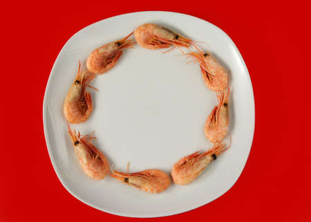 fresh whole prawns in it shell ready to eatの写真素材