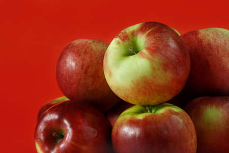Cortland apple on red backgroundの写真素材