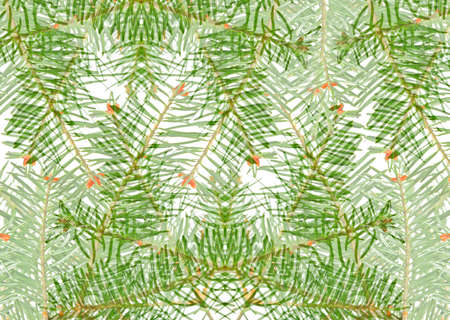 useful christmas fir texture backgroundの写真素材