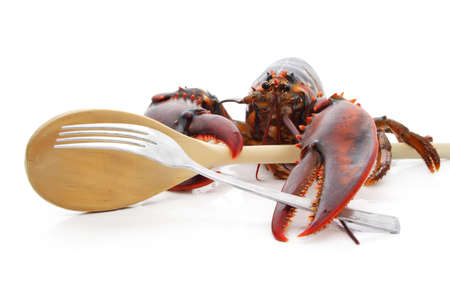 alive lobster holding spoon and forkの写真素材