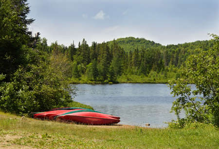 some canoe on border of a lakeの写真素材