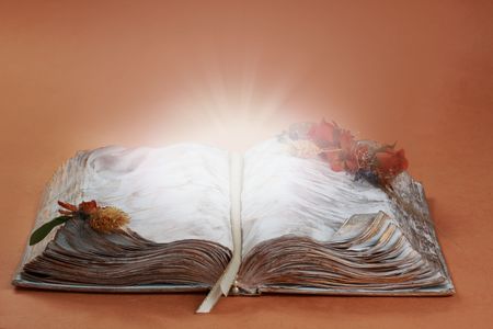 gold and white decorative book with halo