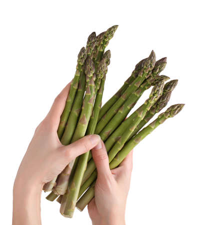 closeup on female hands holding uncooked asparagus, white backgroundの写真素材