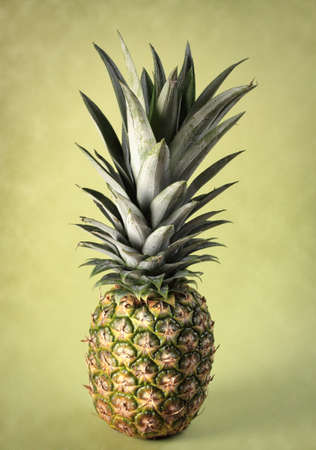 fresh whole ripe pineapple, green background
