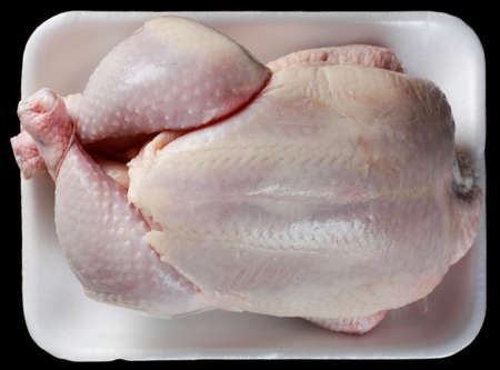 fresh whole uncooked chickenの写真素材