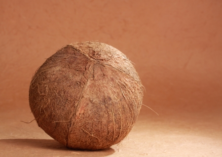 image of a simple  whole raw natural coconut の写真素材