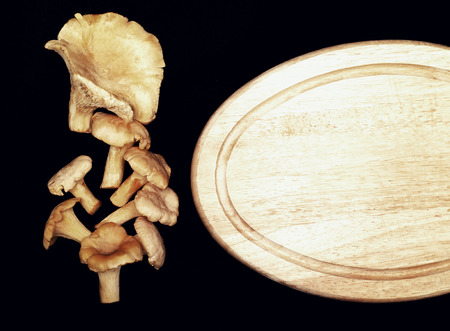 chanterelle mushrooms on the wooden cutting board against black backgroundの写真素材