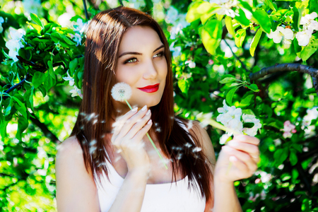 beautiful young woman with the dandelion in the parkの写真素材