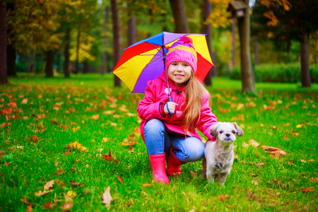 happy little girl with her dog and umbrella and yellow and red autumn leaves outdoor in the autumn parkの写真素材