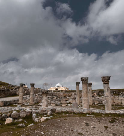 Amman Citadel, Umayyad Palace in Jordanのeditorial素材