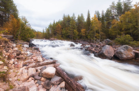 Northern turbulent river beyond the Arctic Circle. Stream on the threshold of Kolva or Kolvitsi in autumn with long exposure.の写真素材