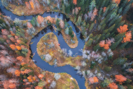Winding river in the form of yin and yang in the autumn colorful forest top view