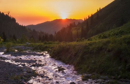Summer mountain landscape at sunset with a stormy river on slope with a spruce forest. Butakovo gorge in Almaty Kazakhstan.の写真素材