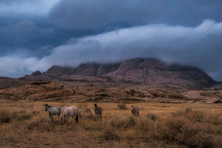 A herd of horses grazes at the foot of the autumn rocky mountains in the Bektau Ata tract in Central Kazakhstanの写真素材
