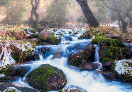 Beautiful mountain river with blue water in a foggy mountain forest in late autumn in Novemberの写真素材