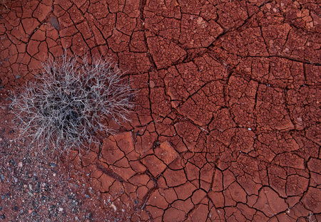 texture of desert cracks takyr dark red, brick color and thornsの写真素材