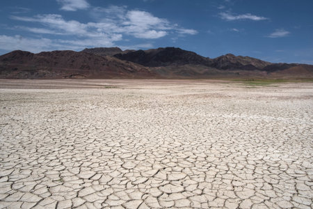 The deserted tokirs on the ground are cracked from drought, the bottom of the lake is exposed, the...