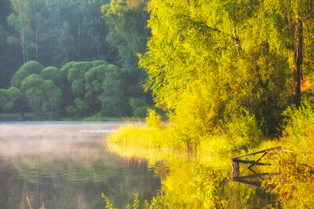 Beautiful morning spring landscape, forest lake with fog and sunlight among green treesの写真素材