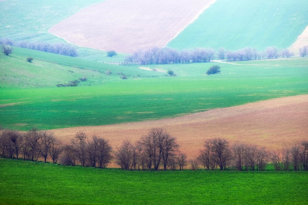 Beautiful spring colorful agricultural fields in the morning haze