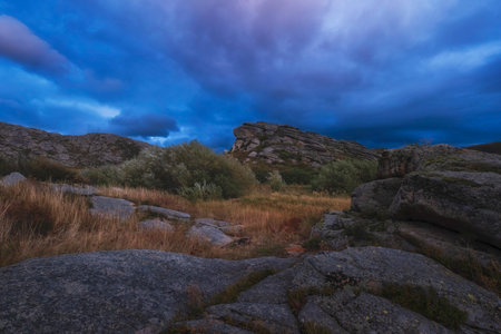 Dry autumn grass and trees sway in the wind against the background of the evening steppe mountains near the Sibinsky lakes in Eastern Kazakhstan.の写真素材