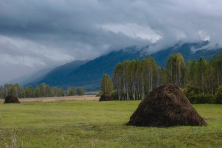 Haystack in a field in the countryside near misty mountains after rain in early autumn