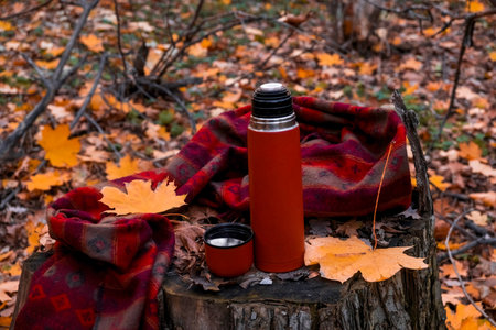 A red thermos with tea or another hot drink stands on a stump against the backdrop of a warm stole or blanket and an autumn forestの写真素材