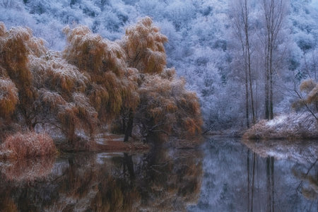 calm lake at the end of autumn, when the yellow leaves have not yet fallen on the trees, but snow...