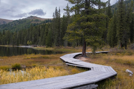 wooden winding path against the backdrop of a mountain lake in autumn.