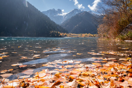 Picturesque mountain lake Issyk in Kazakhstan. Autumn, golden leaves on the clear water. A tranquil natural landscape surrounded by majestic mountains.の写真素材