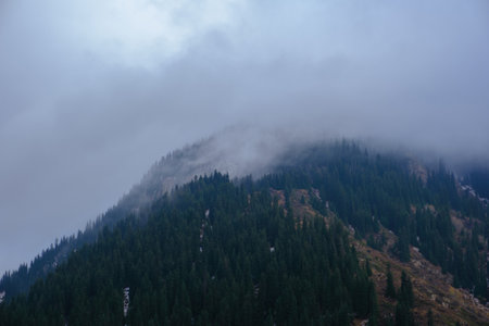 Majestic mountains, wrapped in a misty haze, keep their secrets. Dense coniferous forest covers the slopes, creating an atmosphere of tranquility and privacy. This picture of nature inspires reflection and gives a sense of harmony.の写真素材