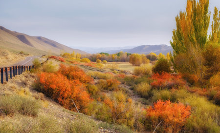 Bright autumn riot of colors at Timerlik Canyon, golden and yellow and fiery orange trees along a winding road against the background of gentle steppe hills, Kazakhstanの写真素材