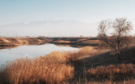 A picturesque view of a calm river or lake surrounded by golden reeds in the soft evening light. Snow-capped mountain peaks can be seen in the haze in the background. A single leafless tree highlights the atmosphere of late autumn or early spring. The silence, tranquility and beauty of the wild nature.の写真素材