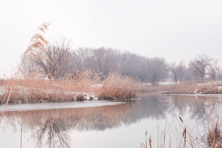 A peaceful winter landscape with a freezing lake or river. A thin layer of ice near the shore,...