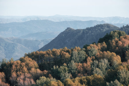 autumn view of the Aspen Pass, East Kazakhstan. In the foreground is a dense forest, painted in...