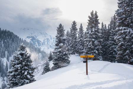 A direction indicator in a snowy mountain forest in winter. The picturesque landscape in the...