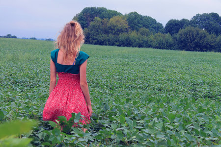 A young woman in a green dress walks through the soybean field.の写真素材