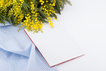 Bouquet of yellow mimosa,blue napkin and notepad on white backgroundの写真素材